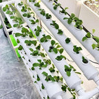 FLTRGO Hydroponics Growing System, Hydroponics Growing System Tower, PVC Pipe, 108 Holes, for Planting Vegetables, Indoor Garden System Tall Hydroponics System Outdoor