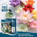 Lotus Seeds for Planting in Water – 160 PCS Mixed Bowl Lotus Seeds, Water Lily & Water Plants for Ponds, Live Pond Plants for Outdoor Ponds, Floating Pond Plants – Indoor Bonsai, Garden, Koi Pond