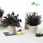 Der Rose 3 Pack Mini Potted Fake Plants Artificial Plastic Eucalyptus Plants Topiaries for Home Office Desk Farmhouse Shelf Room Bathroom Decor(Black)