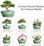 SQOWL Succulent Planter 12 Inch - Ceramic Bonsai Pots with Drainage Hole and Saucer, Large Shallow Planter, Bowl Round Planter for Indoor Outdoor Plants Flower, Room Decor, Birthday Gifts, Green