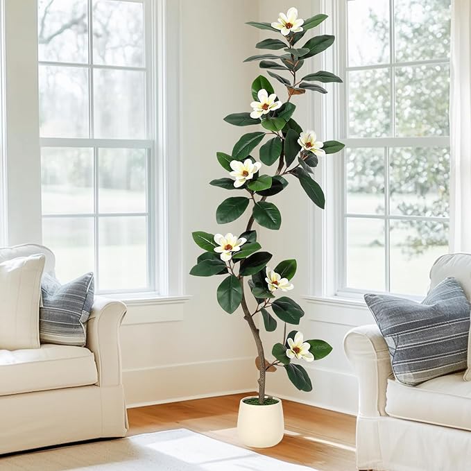 6ft Artificial Rubber Tree with 7 Pcs Magnolia Flowers,Tall Fake Tree with White Planter and Moss Decor,Faux Plants Indoor for Home Living Room Porch Decor