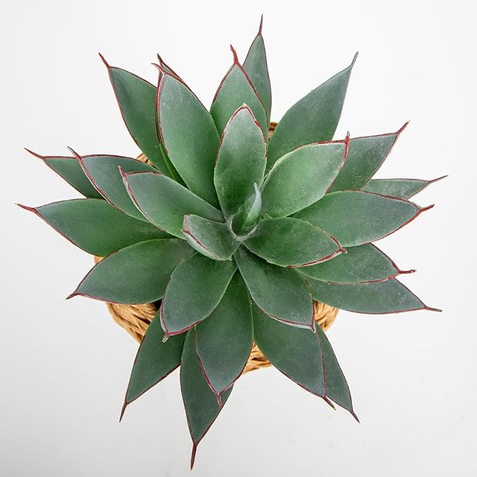 Briful Succulents Plants Artificial for Home Decor, Realistic Potted Fake Agave Plant in Wicker Basket, Cute Aloe Maguey Faux Plant, Shelf Tables Decor, Modern Farmhouse Home Decorations