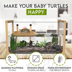 Okköbi Turtle Aquarium Kit - Aquatic Turtle Tank with Filter and Light + Turtle Basking Platform, Perfect Turtle Starter Kit for Kids, Small Turtle Tank for Baby & Juvenile Turtle