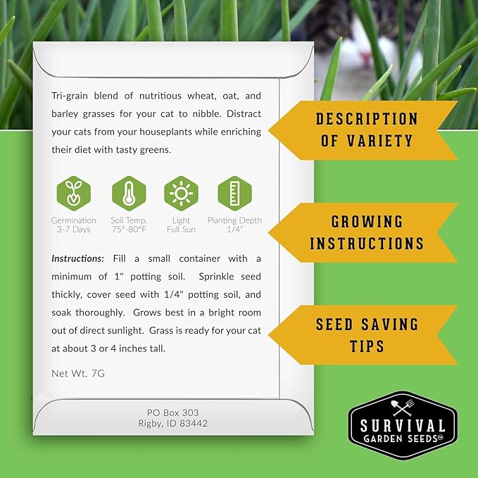 Cat Grass Seeds for Planting – Grow Pet Greens Indoors or Outdoors – Heirloom Non-GMO Tri Grain Blend – Survival Garden Seeds (5 Pack, Seed Only)