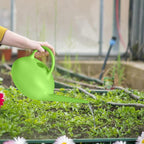 Plant Watering Can - for Indoor Plant Garden - 1/4 Gallon - Green