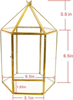 ELEGANTLIFE Glass Geometric Plant Terrarium,Succulent & Air Planter for Home Garden Office Decoration,No Plants(Gold Hexagonal)