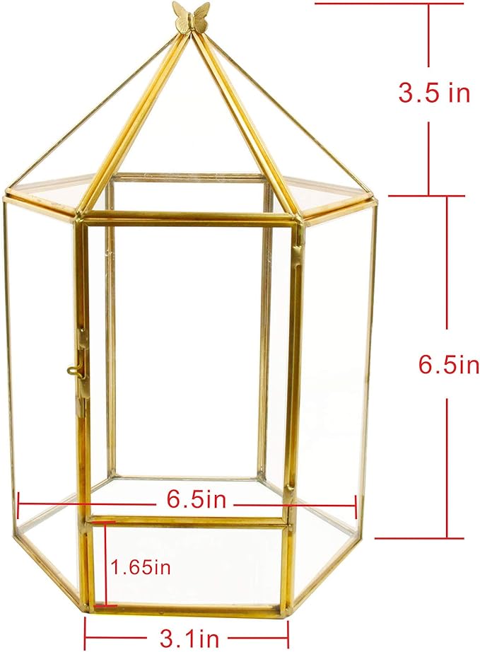 ELEGANTLIFE Glass Geometric Plant Terrarium,Succulent & Air Planter for Home Garden Office Decoration,No Plants(Gold Hexagonal)