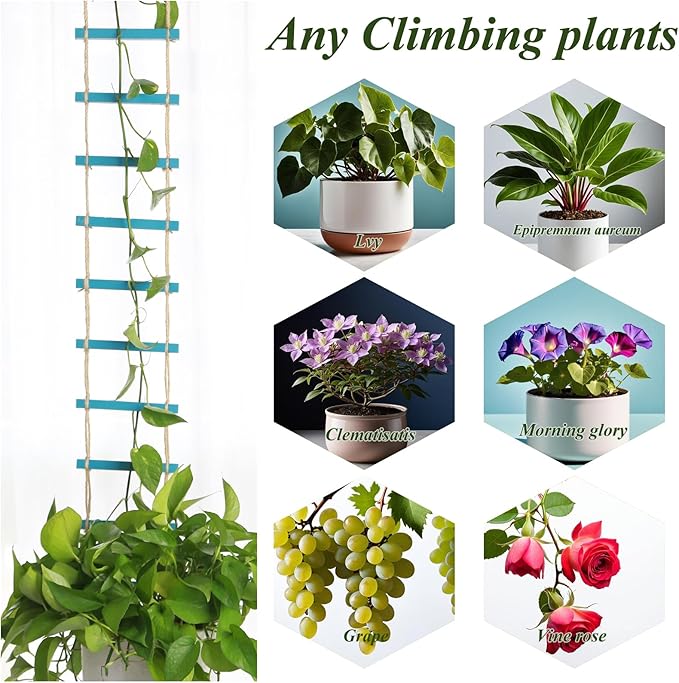 Blue Chain Trellis for Climbing Plants Indoor - Durable Natural Wood Design for Pothos and Ivy Support - Decorative Decorative Wall Feature for Home and Garden