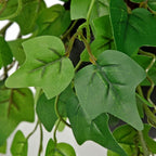 Hollyone Artificial English Ivy Hanging Plants 2pcs Faux Ivy Vines with Black Pot Small Fake Potted Greenery Plant for Indoor Home Aesthetic Living Room Bathroom Desk Shelf Office Decor
