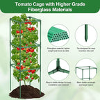 Lezmarket 2 Pack Tomato Cages for Garden, Tomato Trellis for Raised Garden Bed with Plant Clips and Twist Ties for Climbing Plants, 43 inches ﻿ ﻿
