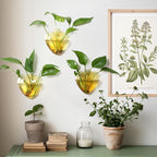 Wall Hanging Planter Propagation Station for Indoor Plants Glass Vase Air Plant Holder for Bathroom Living Room