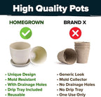 HOME GROWN Succulent & Cactus Seed Kit for Planting – [Enthusiasts Favorites] Premium Cactus & Succulent Starter Kit: 4 Planters, Drip Trays, Markers, Seeds Mix, Soil - DIY Gift Kits