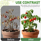 Plant Support Clips, Reusable Plastic Plant Clips for Securing Plants, Garden Clips for Climbing Plants, Plant Fixing Clips for Tomato, Grape and Vine Vegetables (50, Black)