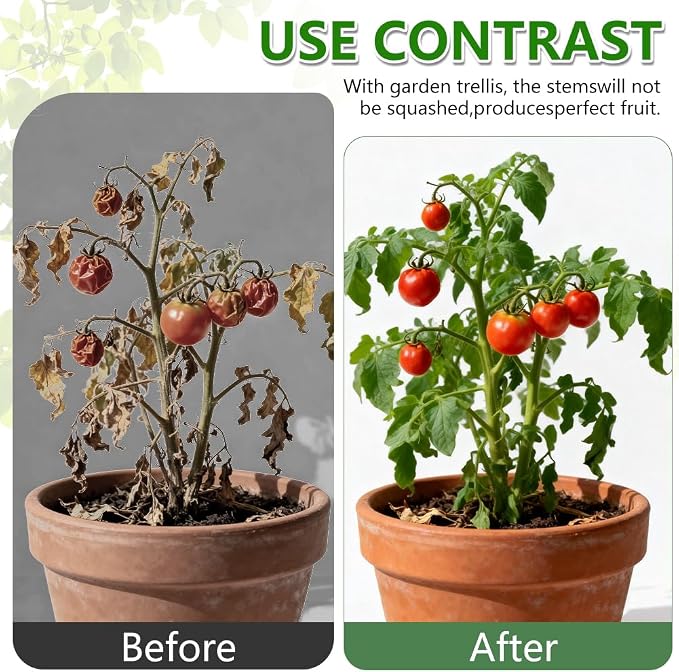 Plant Support Clips, Reusable Plastic Plant Clips for Securing Plants, Garden Clips for Climbing Plants, Plant Fixing Clips for Tomato, Grape and Vine Vegetables (50, Black)