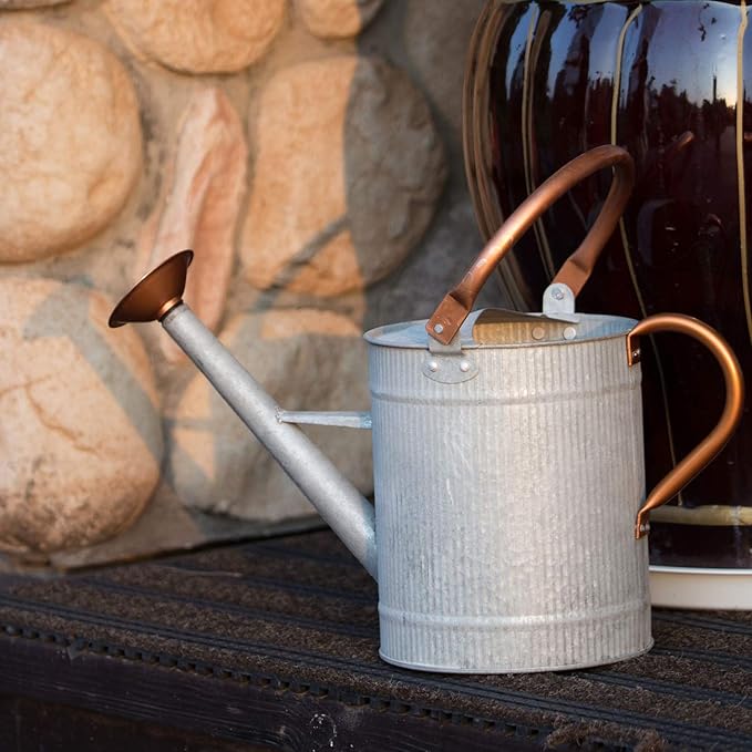 1 Gallon Watering Can, Metal Watering Can with Removable Spout, Farmhouse Galvanzied Water Can, Nice Plant Water Can for Indoor Use and for Outdoor Use
