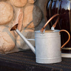 1 Gallon Watering Can, Metal Watering Can with Removable Spout, Farmhouse Galvanzied Water Can, Nice Plant Water Can for Indoor Use and for Outdoor Use
