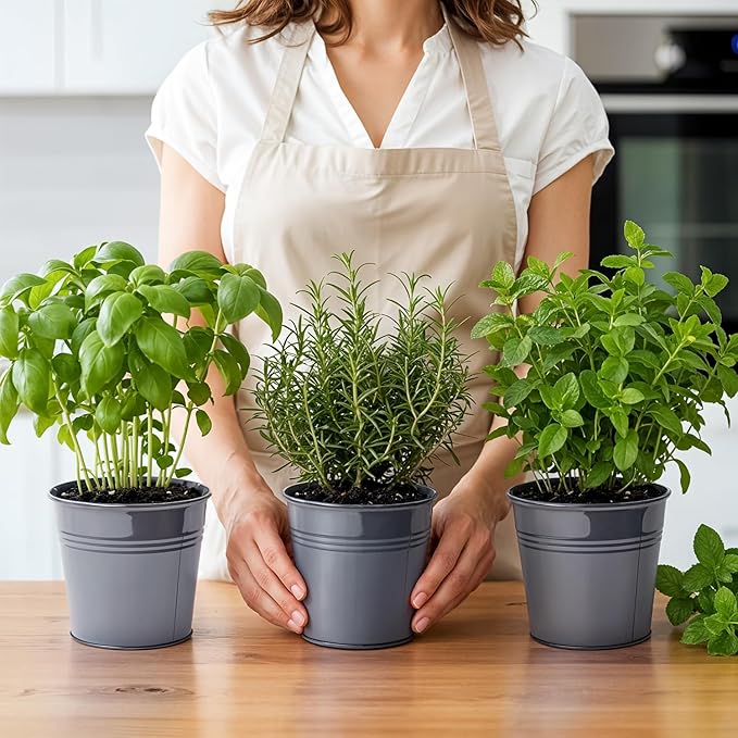 Plexon Herb Planter Indoor Garden Set of 3 with Tray, Metal Herb Pots for Indoor Plants, Round Kitchen Garden Kit Ideal for Windowsill Planter or Countertop, Gray Powder Coated