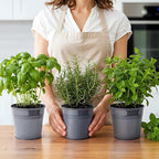Plexon Herb Planter Indoor Garden Set of 3 with Tray, Metal Herb Pots for Indoor Plants, Round Kitchen Garden Kit Ideal for Windowsill Planter or Countertop, Gray Powder Coated