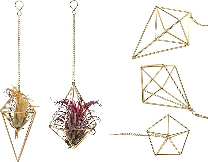 4Pcs Hanging Metal Air Plant Holder with Chain Mini 2 Style Tillandsia Geomitric Airplants Hanger Air Fern Cage Decor for Home and Office