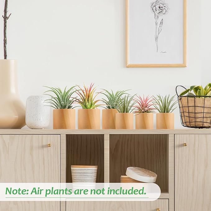 Bigmeta 6 Pcs Wood Air Plant Holder - 1.2" & 1.4" Rustic Style Airplant Display Stands for Women Gifts