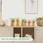 Bigmeta 6 Pcs Wood Air Plant Holder - 1.2" & 1.4" Rustic Style Airplant Display Stands for Women Gifts