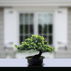 Artificial Bonsai Tree Fake Plants for Home Decor, Living Room Bathroom Bookshelf Entryway Table Wall Shelf Modern Farmhouse Decor, 9.5" Tall, Green