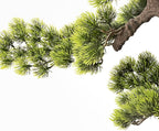 Artificial Bonsai Tree 20 Inch Tall - Realistic Faux Juniper and Pine Potted Plant, Indoor Greenery Decor for Home, Office Desk, Tabletop, and Room Decoration
