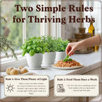 Seedboy Organic 10 Herb Garden Starter Kit for Planting Indoor or Outdoor, Non-GMO USDA Certified Seed, Cool Unique Gift for Gardeners, Mom Birthday, Friends, Plant Lovers (Herb Garden Starter Kit)