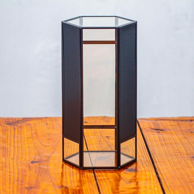 NCYP Small Glass Terrarium with Mesh and Door for Spiders, Hexagon Shape Small Mantis Vented Glass Terrarium 4.9'' x 4.3'' x 9.4'', Tabletop Decor, Black (Plants Not Include)
