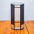 NCYP Small Glass Terrarium with Mesh and Door for Spiders, Hexagon Shape Small Mantis Vented Glass Terrarium 4.9'' x 4.3'' x 9.4'', Tabletop Decor, Black (Plants Not Include)