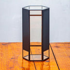 NCYP Small Glass Terrarium with Mesh and Door for Spiders, Hexagon Shape Small Mantis Vented Glass Terrarium 4.9'' x 4.3'' x 9.4'', Tabletop Decor, Black (Plants Not Include)