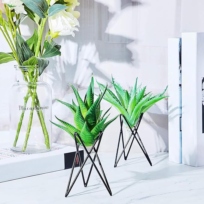 Jetec 6 Pcs Air Plant Holder Airplants Live Holders Airplants Rack Black Metal Desk Plant Rack for Home Office Study Balcony Garden Patio Wedding Decoration Gift