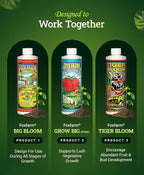 FoxFarm Hydro Liquid Trio Pack - Big Bloom, Grow Big Hydroponic, Tiger Bloom Fertilizers for Plant Growth, Bud Development & Abundant Fruit - Complete Hydroponic Plant Food Set - 3 Quart Bottles