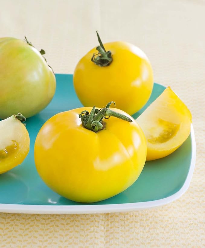 Bonnie Plants Lemon Boy Tomato, Live Plant, 19.3 oz., 4-Pack