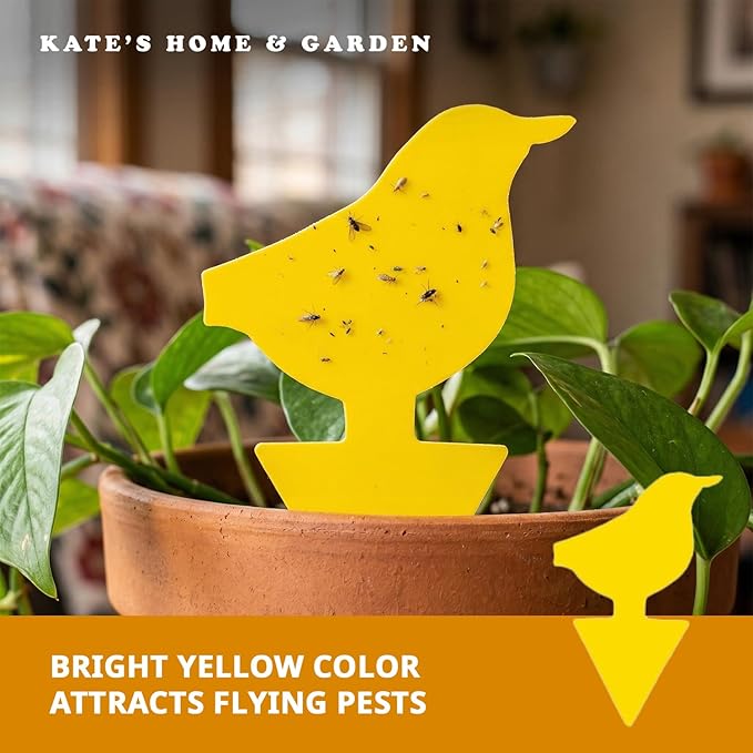 Kate's Home & Garden 96 Count Fruit Fly Traps for Indoors and House. Yellow Sticky Trap for Gnats, Mosquitos, Plants, Ants