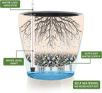 Dexceder 9x8 Self Watering Planter (Black Gold Crackle) | Inner Pot Design, Thickened Table Flower Plant Pot with Water Level Indicator Indoor Outdoor