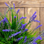 Artificial Fake Outdoor Plants Flowers for Decoration,10 Bundles 16.5" UV Resistant Plastic Tall Realistic Faux Monkey Grass Greenery Stems for Home Outside Planter Window Porch Patio Garden-Purple