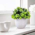 Artificial Plants in Ceramic Planter Cute Lysimachia Fake Succulent Flowers Potted for Home Office Table Desk Decor Living Room Bathroom Bedroom Shelves Decoration