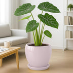 Deep Dream 10 Inch Plant Pot- Ceramic Planter Pot Round Plant Pots for Indoor Plants Outdoor Large Flower Pot with Drainage Holes & Trays, Pink