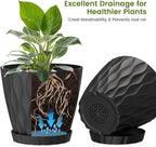 UOUZ 8 Inch Plant Pots, 2 Pack Plastic Planters for Indoor Outdoor with Drainage Holes & Saucers, Waffle Texture Flower Pots for Indoor Plants, Indoor Plant Pots for Monstera, Fiddle Leaf Fig, Black