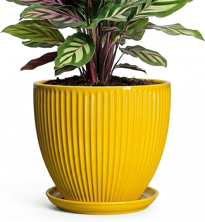 6 Inch Plant Pot, Ceramic Planter with Drainage Hole and Saucer, Decorative Small Plant Pots for Indoor Plants, Modern Round Flower Pot, Home Office Room Decor, House Warming Gifts, Yellow