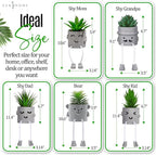 Zen Home Cute Fake Plants for Shelf - Mini Succulent Plants - Small Artificial Plants for Shelf Decor - Desk Plants for Office - Small Faux Plant, Fake Desk Plant for Home Office or Class (Shy Bear)