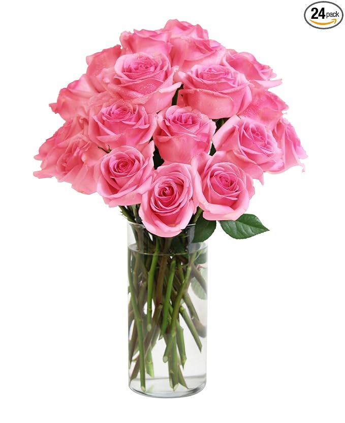 KaBloom - Bouquet of Long Stemmed Pink Roses (Two Dozen) - With Vase - Fresh Flowers for Birthday, Valentine's & Mother's Day