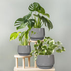 G EPGardening Ceramic Pot for Plants - Modern 6 Inch Round Planter Indoor with Drainage and Tray for Indoor Outdoor Flower, Patio Decor, Teacher Gifts, Grey