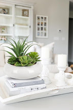 Large Artificial Succulents Plants Faux Succulents in Pots Fake Succulent Arrangement Potted Plants with White Ceramic Pot for Office Desk Bathroom Shelf Living Room Indoor & Outdoor Home Decor