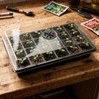 24XL Cell Seed Starter Tray with Dome, 5-Pack 2" Plug Seedling Trays (Total 120 Cells), Plant Germination Tray with Humidity Vented Lid and Base, Mini Propagator Plant Greenhouse for Seed Growing
