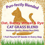 NatureZ Edge Premium Cat Grass Seeds for Indoor Cats, Non GMO - 1 lb Oat, Wheat, Barley & Rye Grass for Indoor Cats, Cat Plant, Kitty Lawn, Pet Grass, Hierba para Gatos, Made in USA