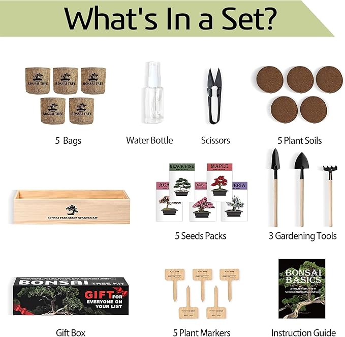 Bonsai Tree Kit with Complete Growing Starter Kit, Great Potted Growing DIY Gift for Adults