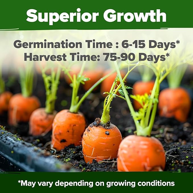 HOME GROWN Tendersweet Carrots Seeds 3000+ Heirloom Non-GMO Seeds for Planting, High Germination, Sweetest Coreless Root Vegetable, Crunchy Summer Garden (Daucus carota subsp. sativus)