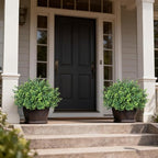 Set of 2 Artificial Boxwood Topiary Trees for Front Door - Faux Realistic Greenery Potted Plants, Fake Outdoor UV-Resistant Bushes with Pots for Porch,Farmhouse,Home,Garden Decor